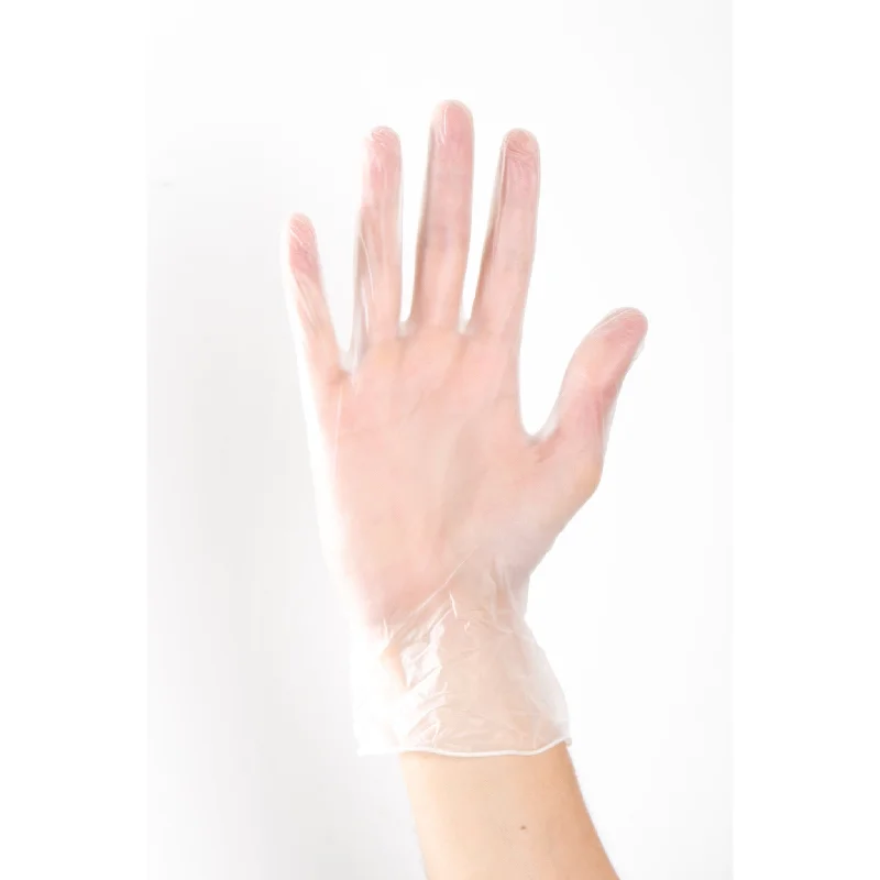 Aurelia Delight Powder Free Clear Vinyl Examination Gloves 3822 (Case of 1000 Gloves)